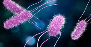 3D illustration of Salmonella Bacteria.